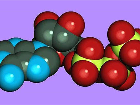 能量通货ATP不足与细胞功能障碍