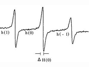 自由基损伤红细胞膜分子的机理研究